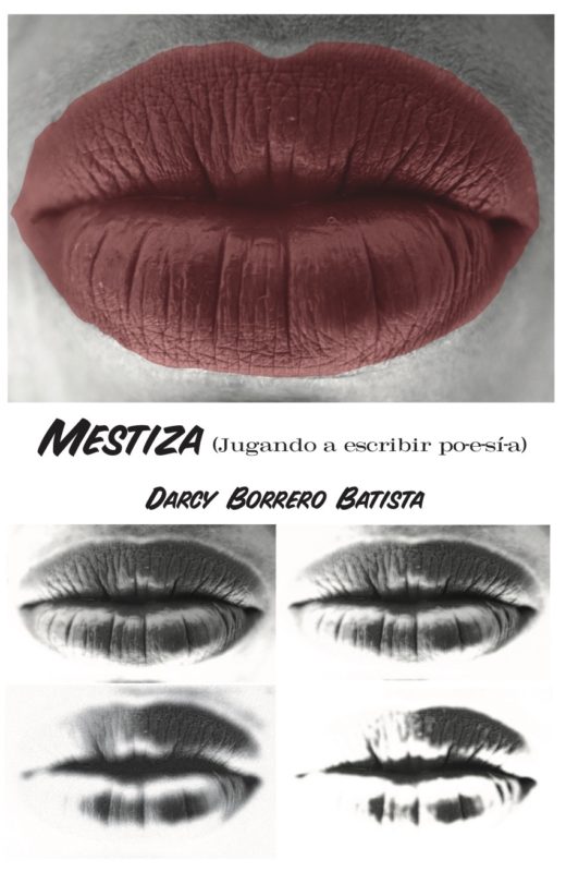 Mestiza mitad portada