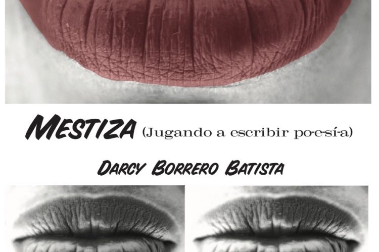 Mestiza mitad portada